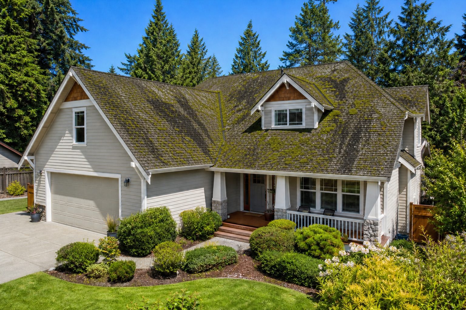 A Pacific Northwest roof heavily covered in green moss